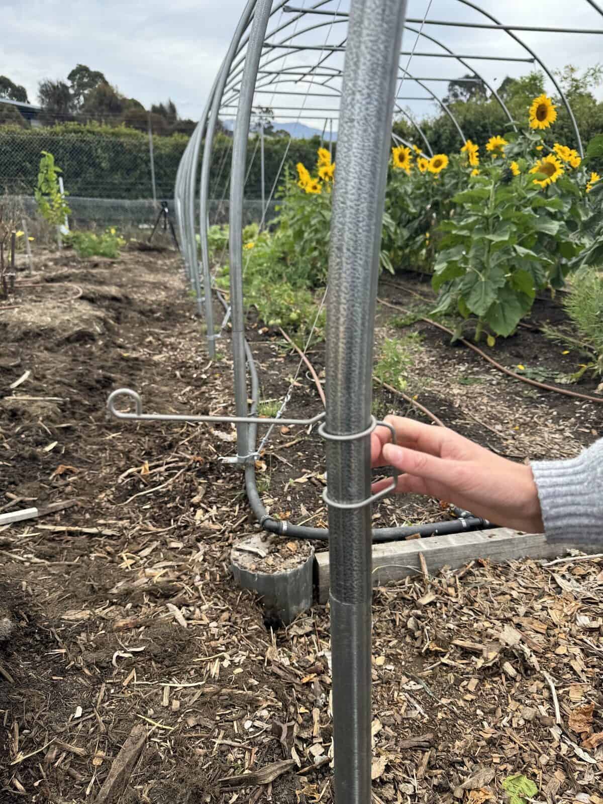 Side Curtain Hook Cocoon Tunnels Activevista For Market Farm Garden