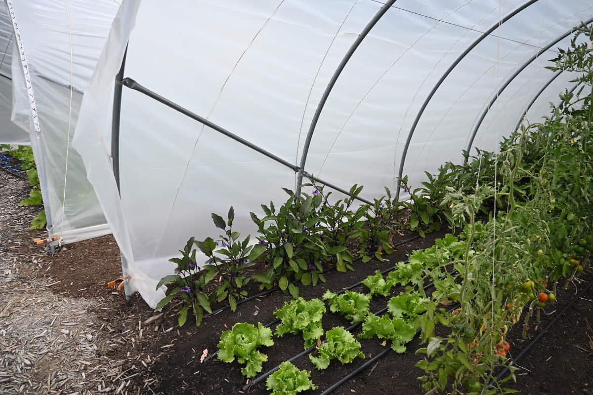 Wind Bracing Kit - Activevista For Market-farm & Garden