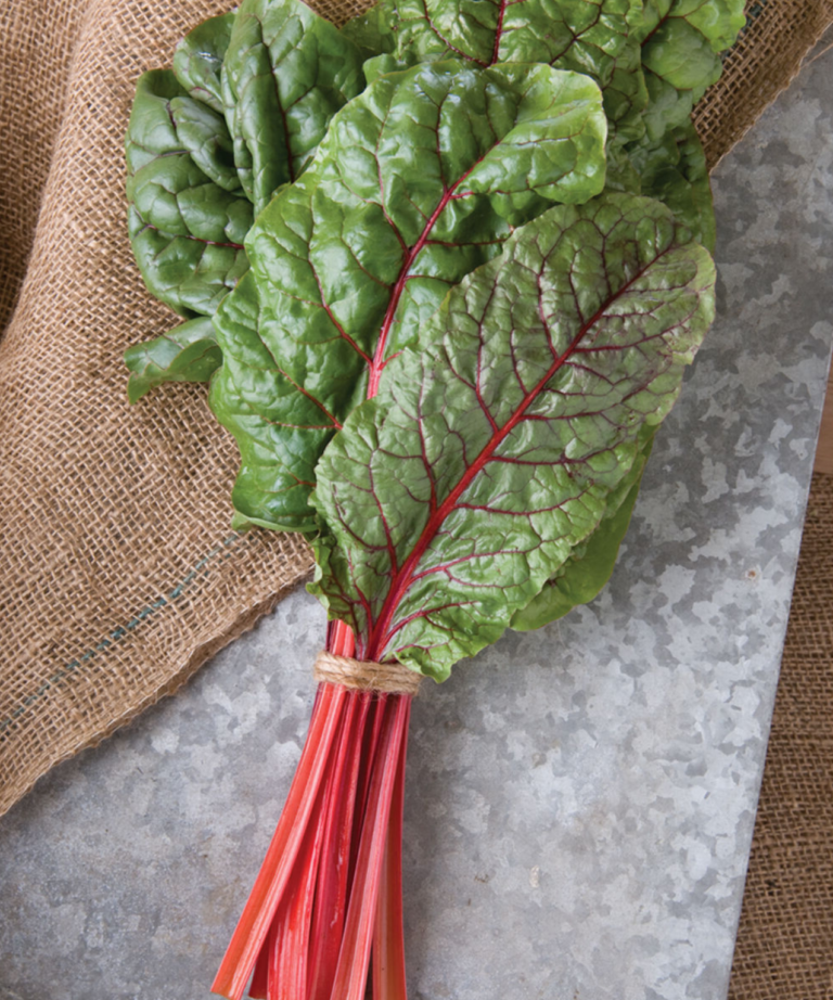 Ruby Red Organic Swiss Chard Seed ActiveVista for MarketFarm & Garden